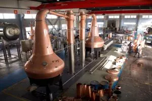 בנייה של סיר סקוטי